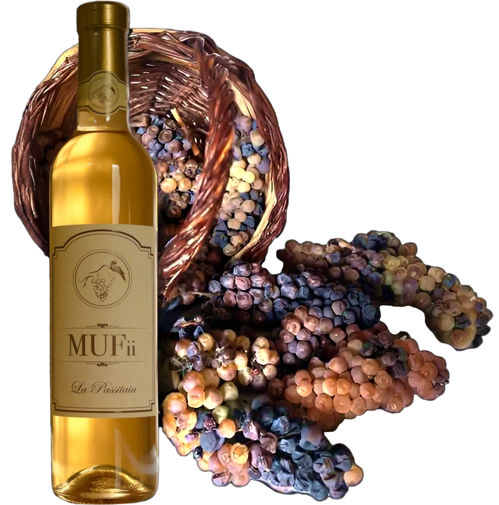 Cover-HOME-MUFii-2024-3